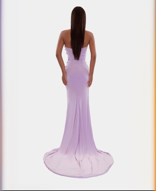 Albinadyla Corset Long Dress In Lilac Size 44 Retails $990