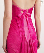 MARIA LUCIA HOHAN  Silk Jolie Gown Size 6 Retails $2579