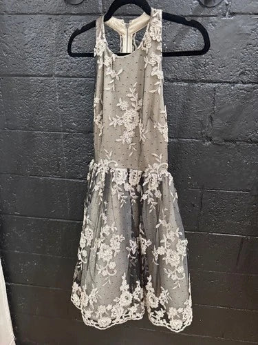 Alice and Olivia Beatrice T-Back Lace Fit and Flare Dress Size 4 – Silver Mini