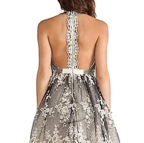 Alice and Olivia Beatrice T-Back Lace Fit and Flare Dress Size 4 – Silver Mini